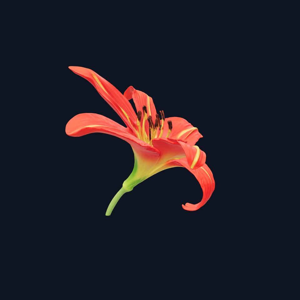 Radiant Red Lily model pack